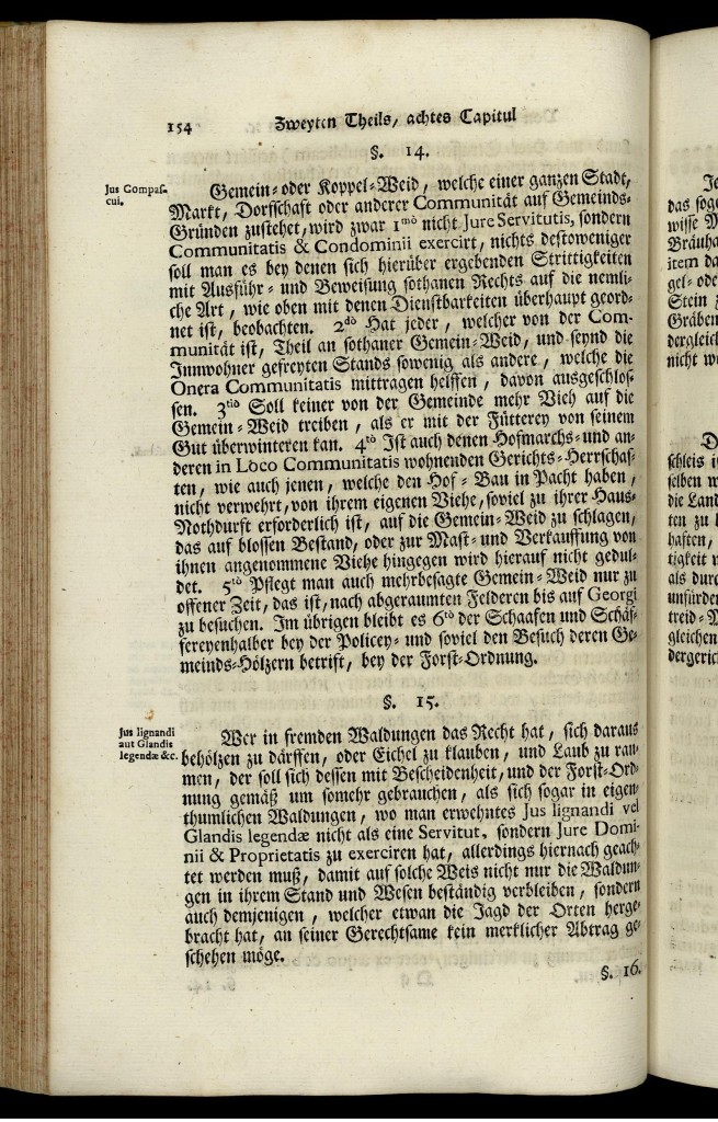 s154.jpg