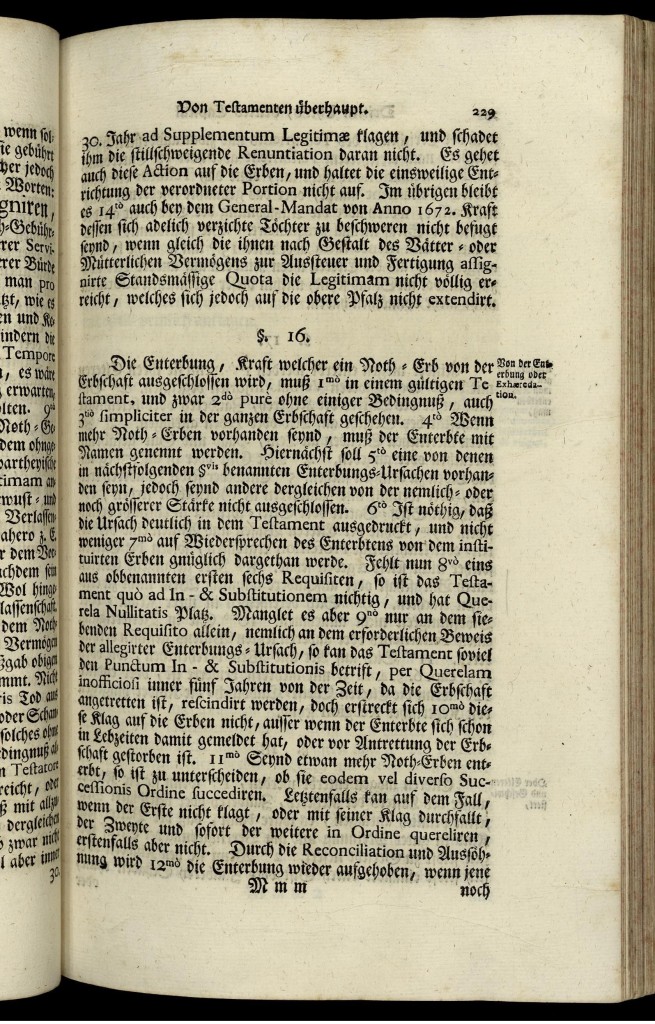 s229.jpg