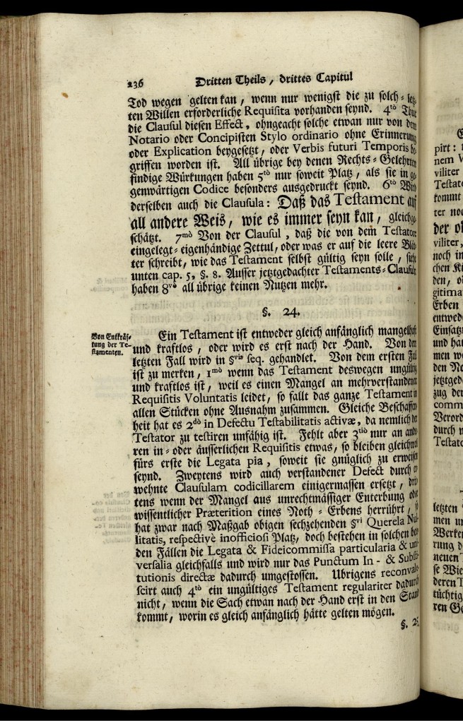 s236.jpg