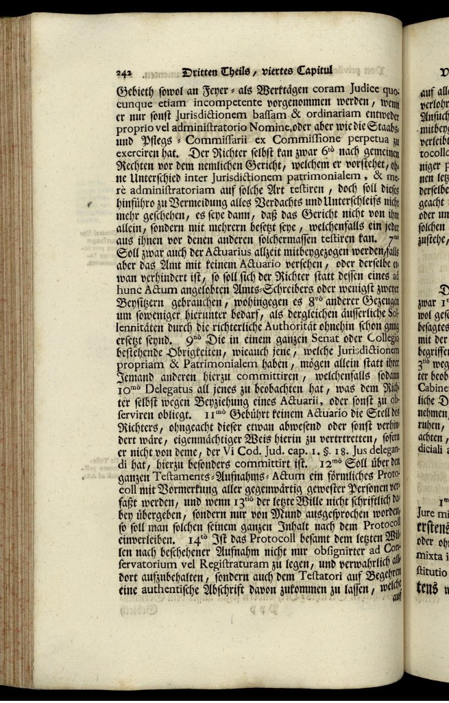 s242.jpg