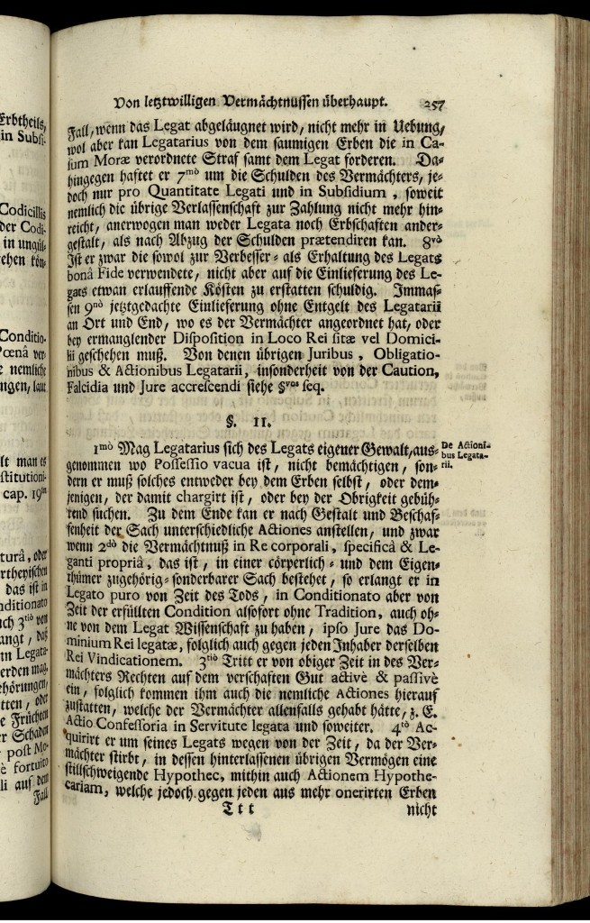 s257.jpg