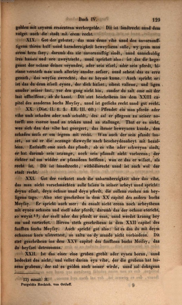 s129.jpg