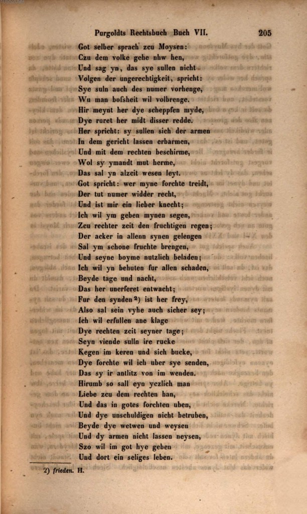 s205.jpg