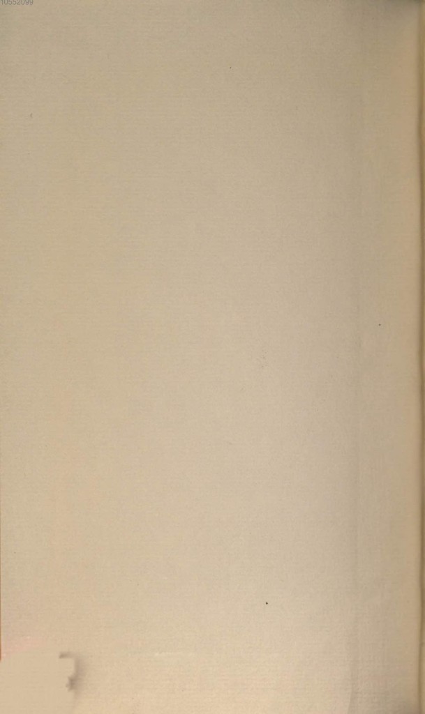 s382.jpg