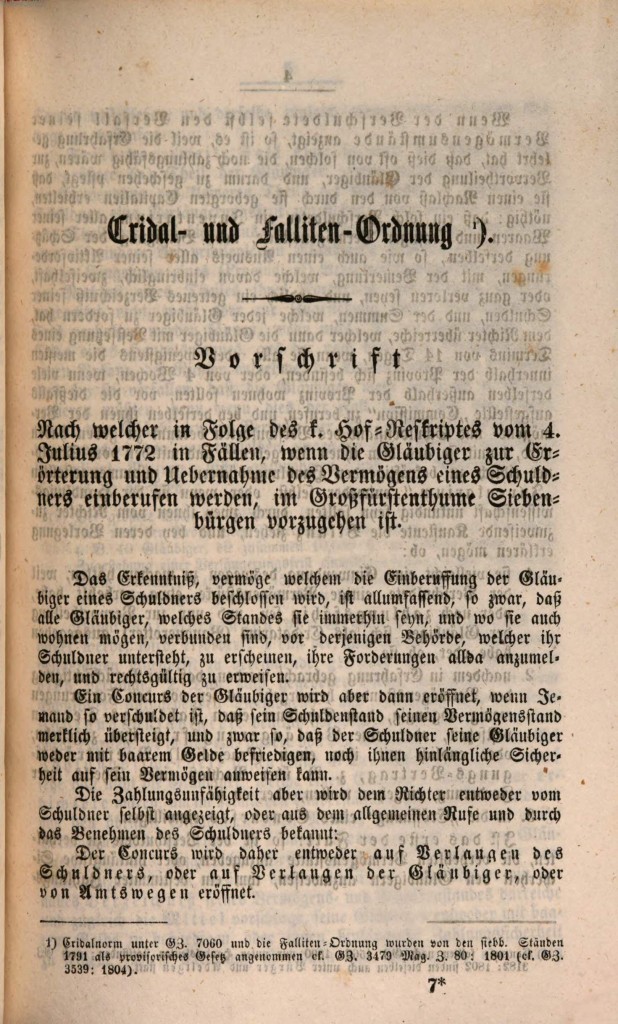 schuler_1_s095.jpg