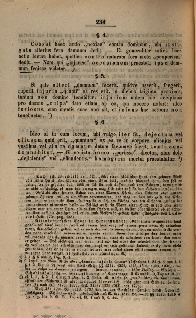 schuler_3_s234.jpg