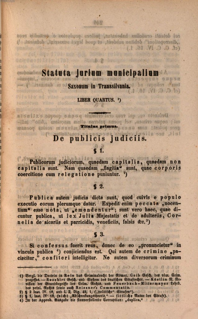 schuler_3_s245.jpg