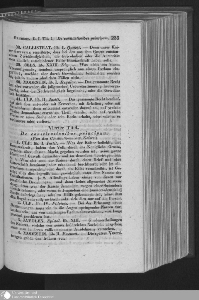 s233.jpg