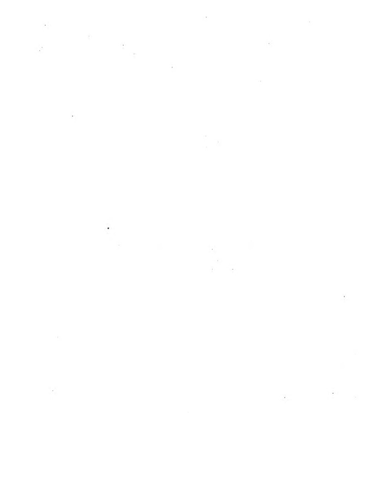 p007.jpg