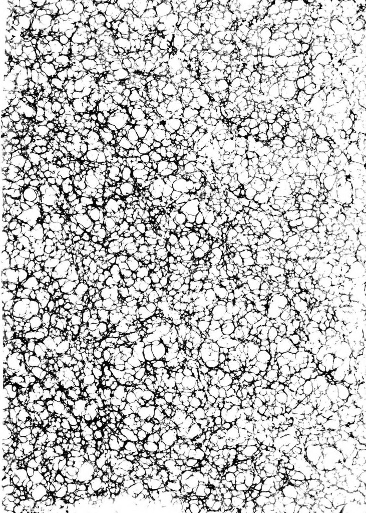 cles_stat_I_1707_p001.jpg