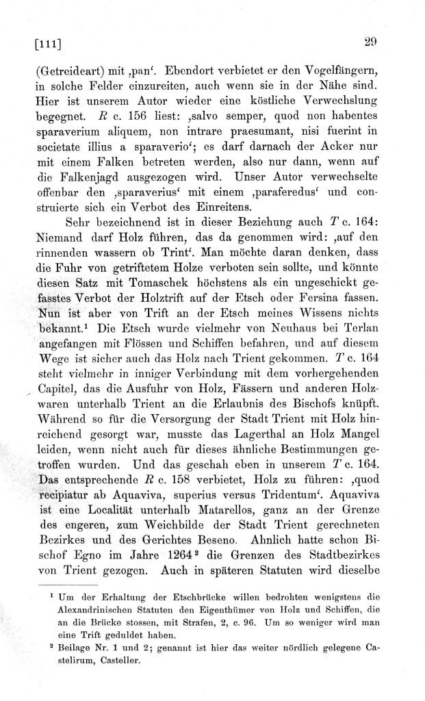 s029.jpg
