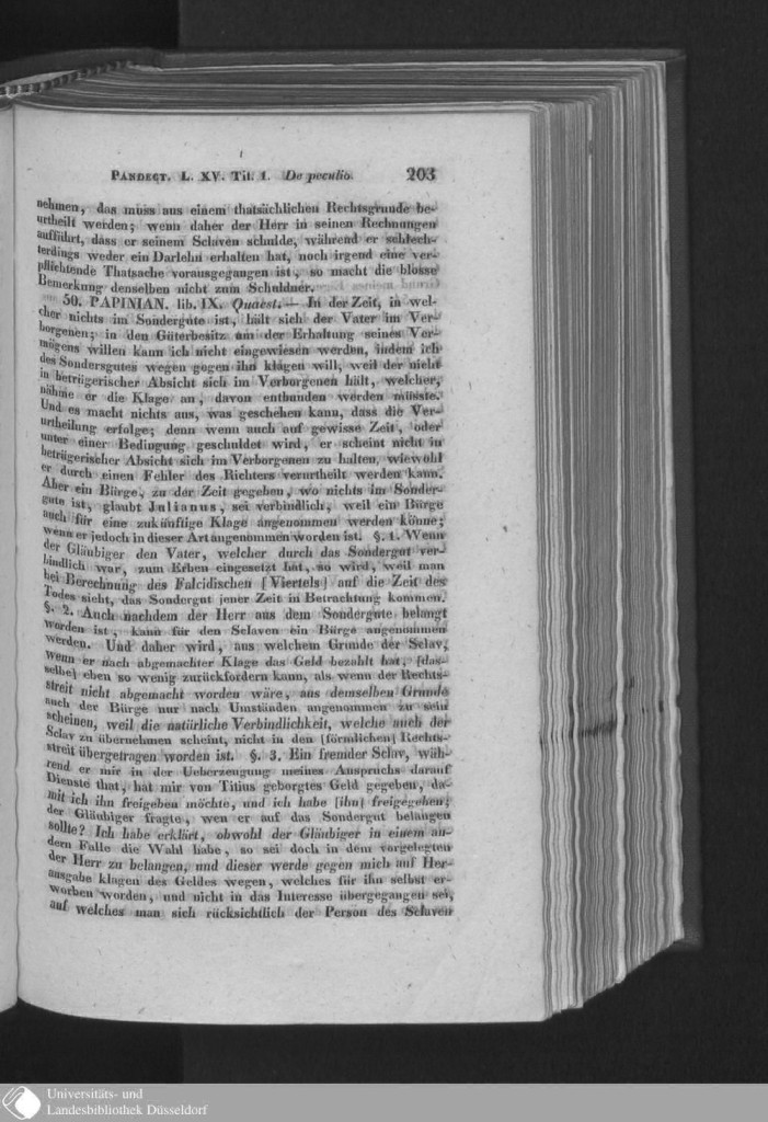 s0199.jpg