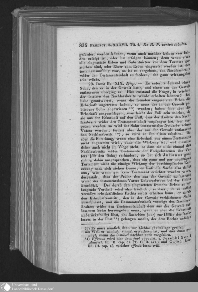 s0832.jpg