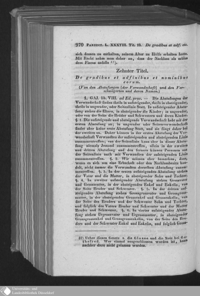 s0966.jpg