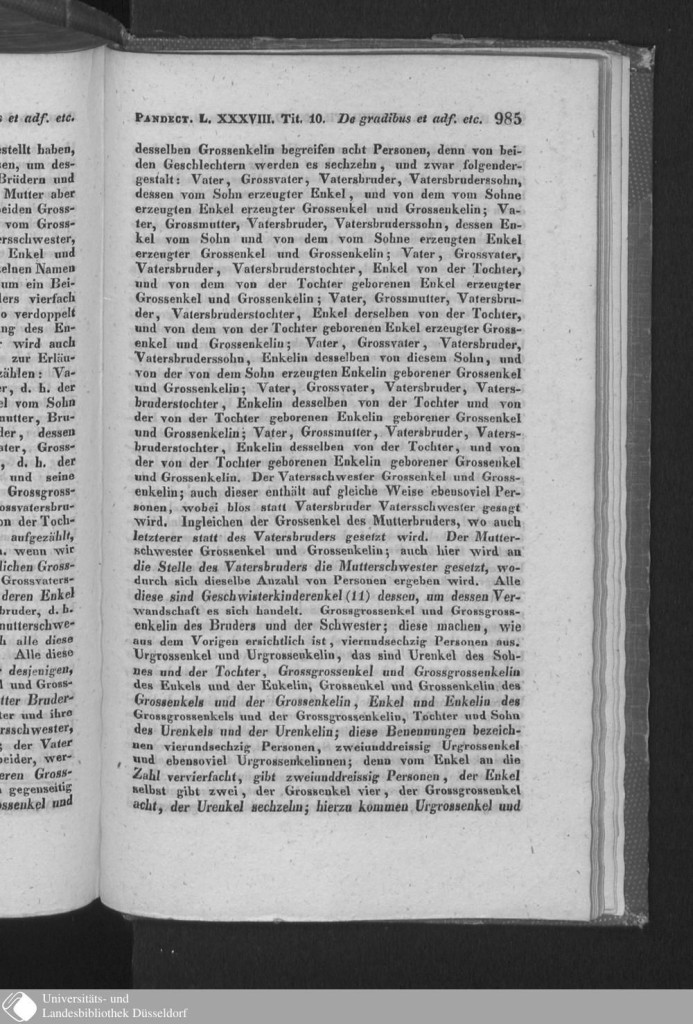 s0981.jpg